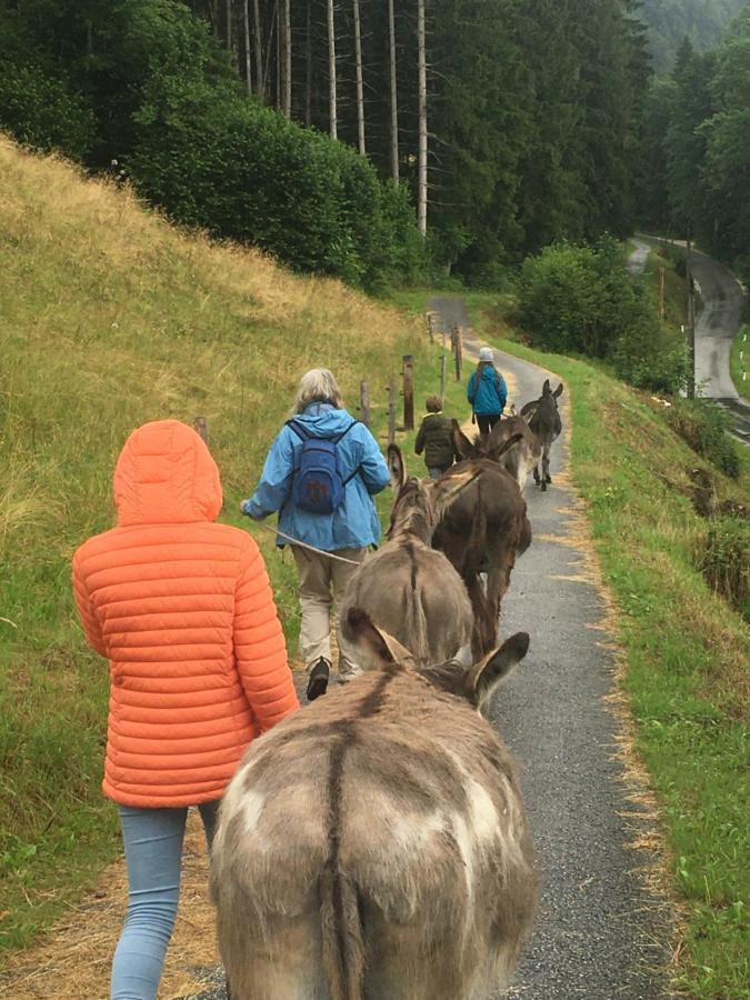 Wengerwirt Zur Laube Bed and Breakfast Weng im Gesause Buitenkant foto