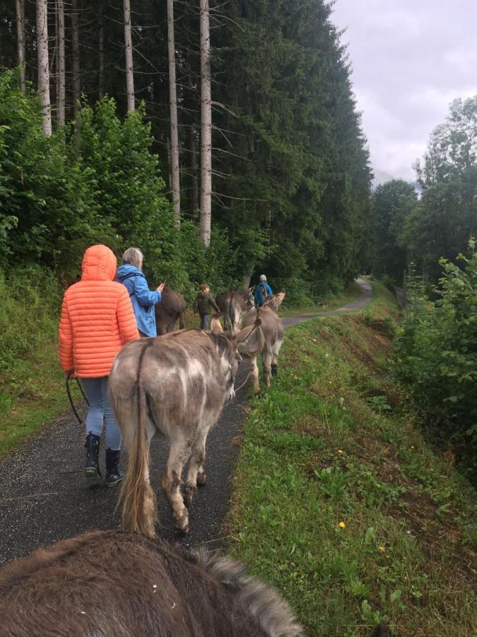 Wengerwirt Zur Laube Bed and Breakfast Weng im Gesause Buitenkant foto