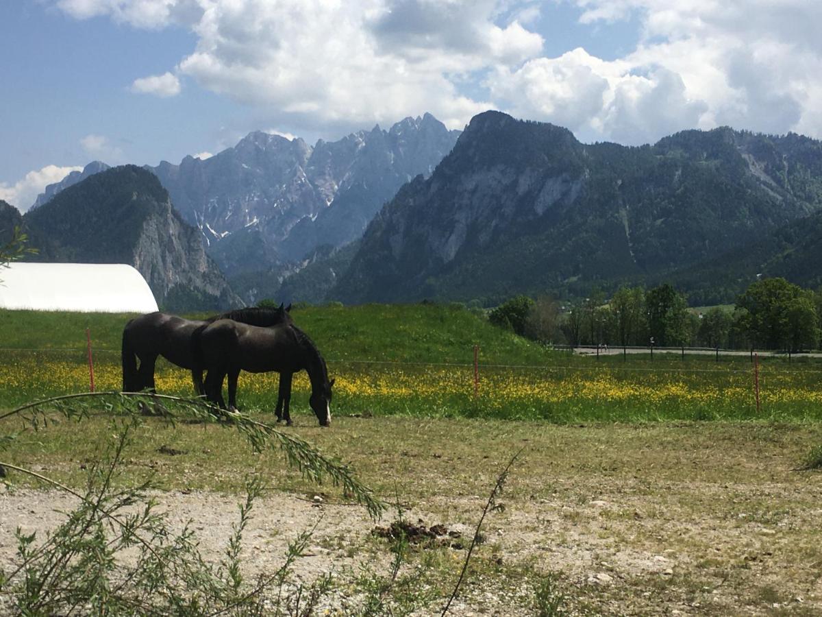 Wengerwirt Zur Laube Bed and Breakfast Weng im Gesause Buitenkant foto