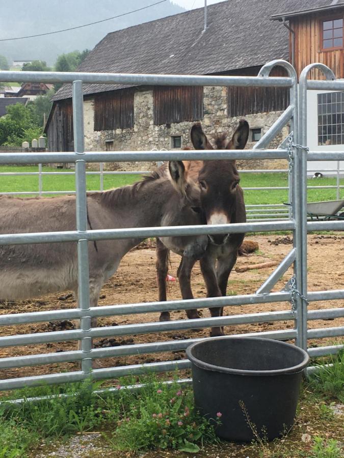 Wengerwirt Zur Laube Bed and Breakfast Weng im Gesause Buitenkant foto