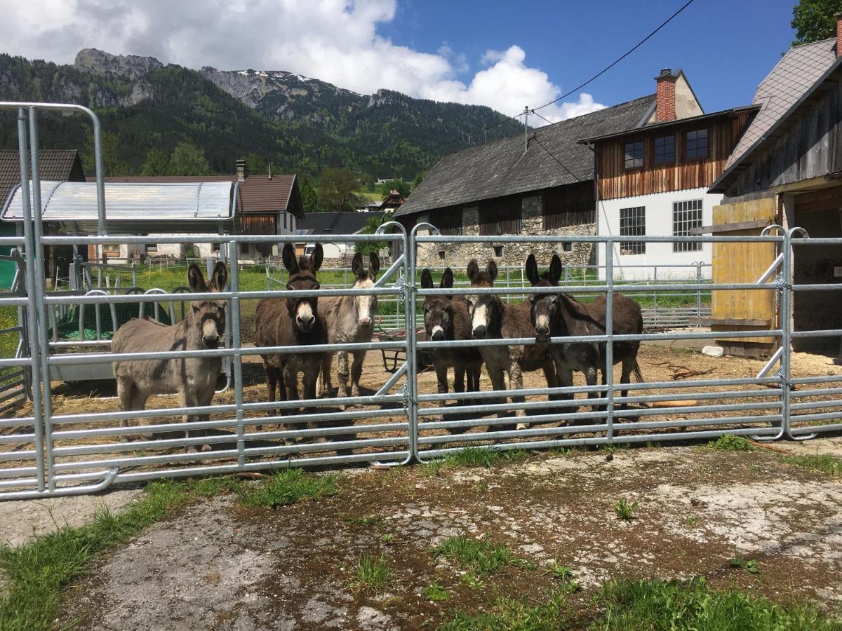 Wengerwirt Zur Laube Bed and Breakfast Weng im Gesause Buitenkant foto