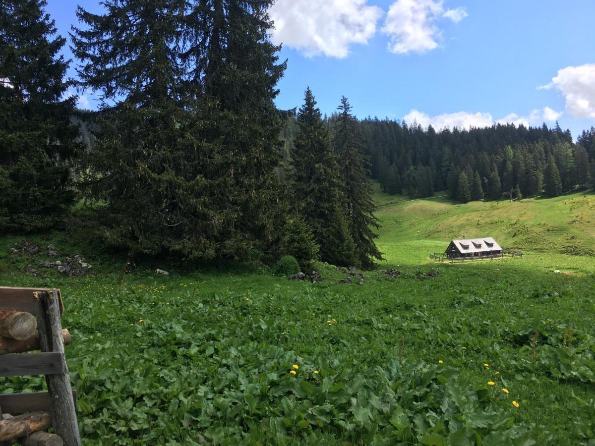 Wengerwirt Zur Laube Bed and Breakfast Weng im Gesause Buitenkant foto