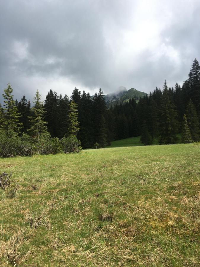 Wengerwirt Zur Laube Bed and Breakfast Weng im Gesause Buitenkant foto
