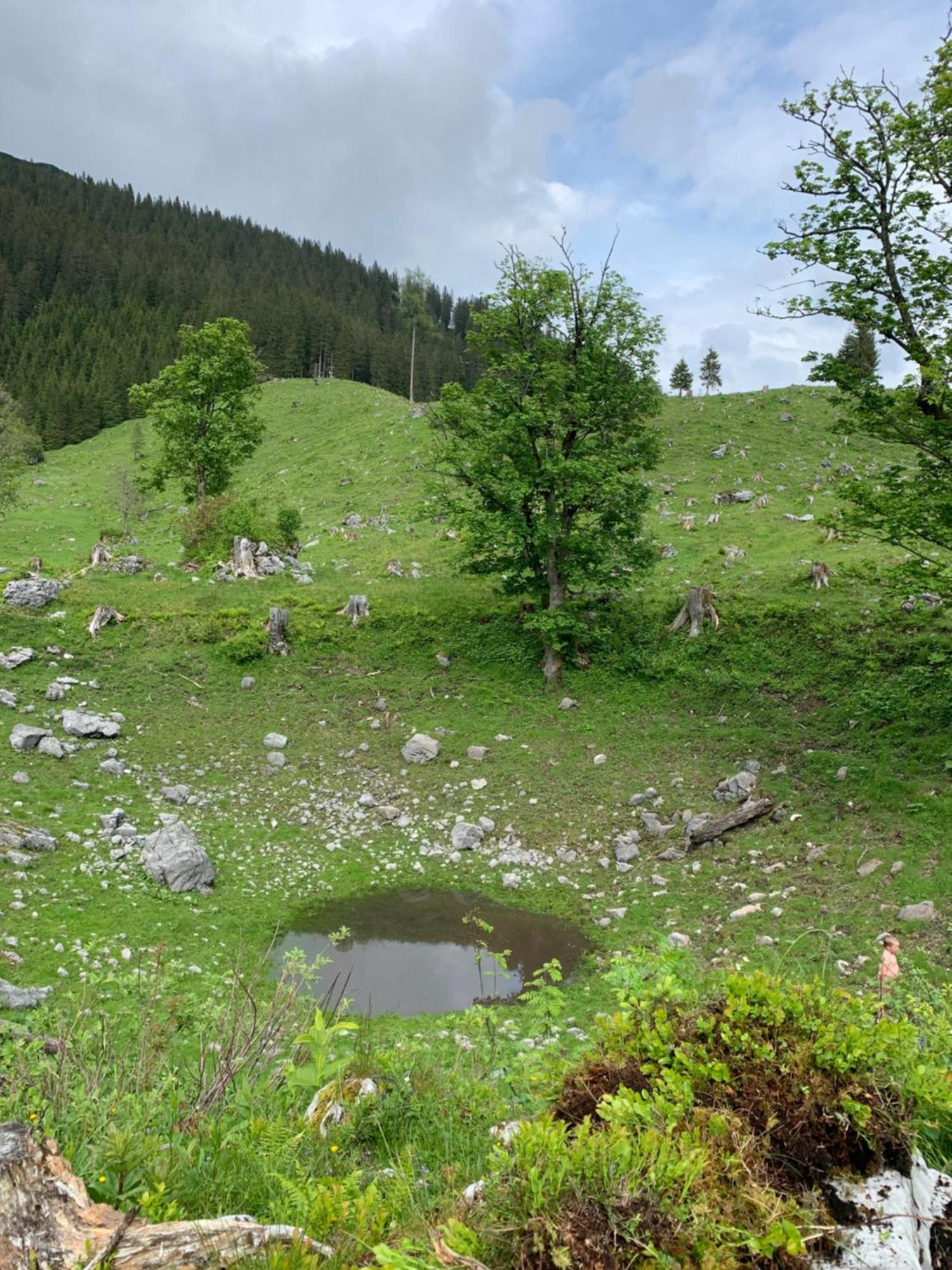 Wengerwirt Zur Laube Bed and Breakfast Weng im Gesause Buitenkant foto